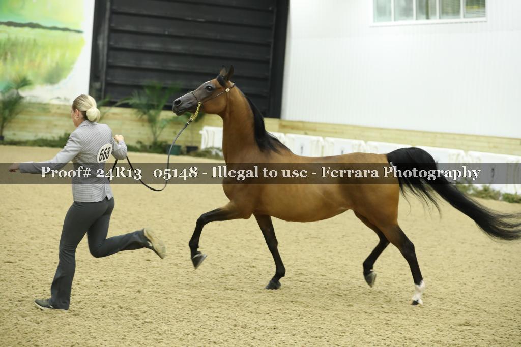 Proof Number 24R13_05148