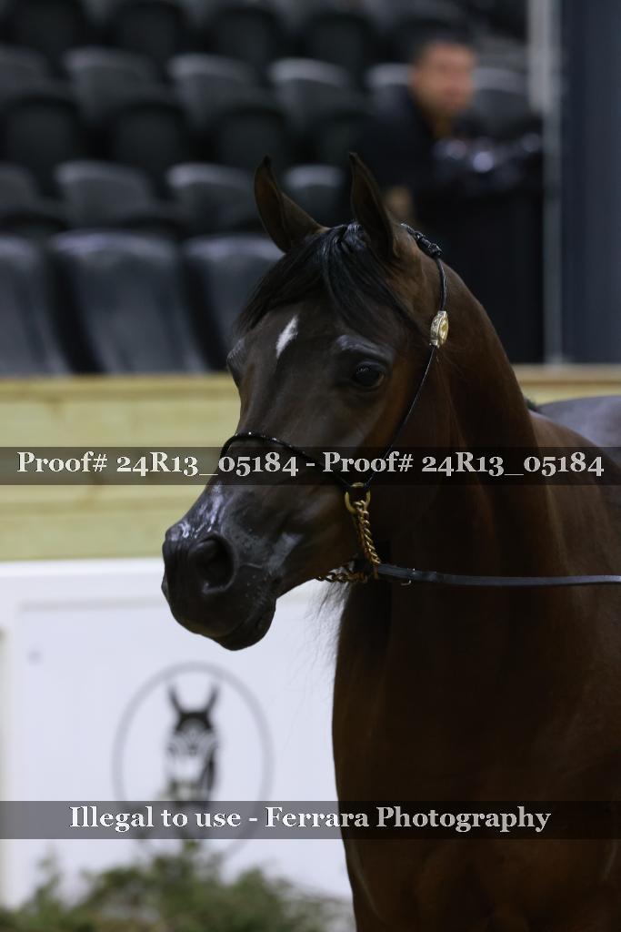 Proof Number 24R13_05184