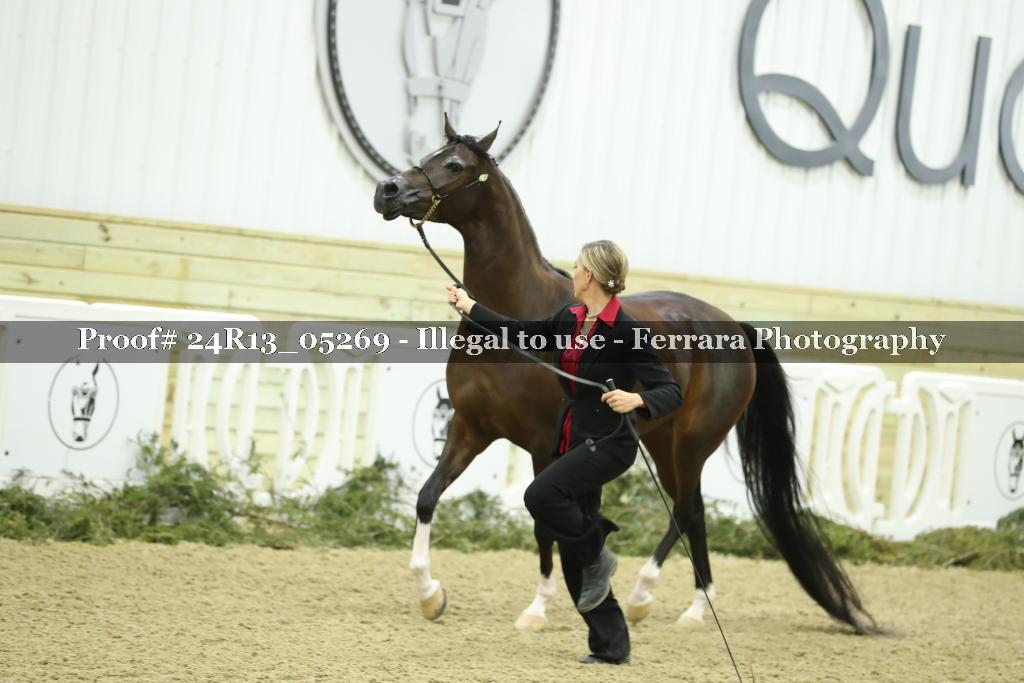 Proof Number 24R13_05269