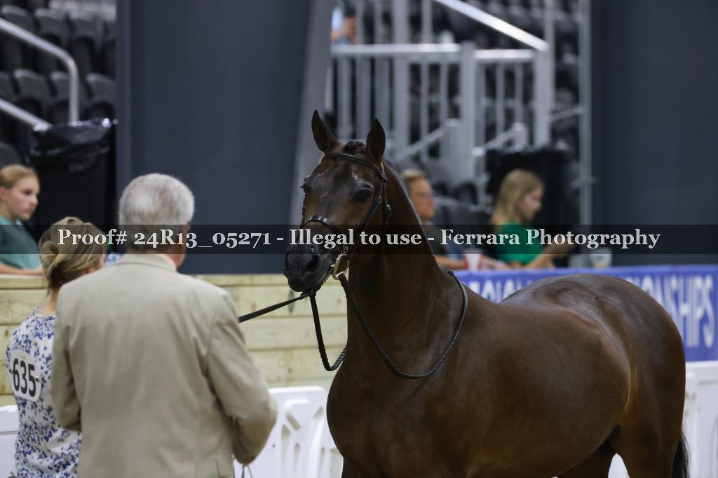 Proof Number 24R13_05271