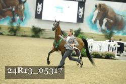 24R13_05317 thumbnail