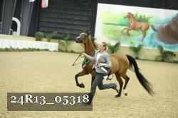 24R13_05318 thumbnail