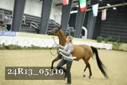 24R13_05319 thumbnail