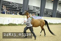24R13_05320 thumbnail