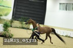 24R13_05321 thumbnail