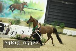 24R13_05322 thumbnail