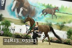 24R13_05323 thumbnail
