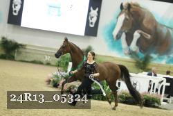 24R13_05324 thumbnail
