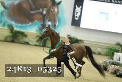 24R13_05325 thumbnail