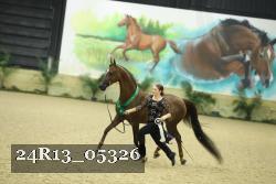 24R13_05326 thumbnail