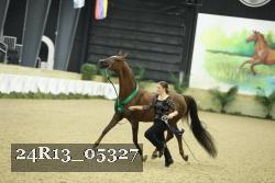 24R13_05327 thumbnail