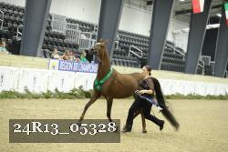 24R13_05328 thumbnail