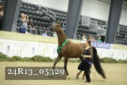 24R13_05329 thumbnail