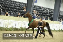 24R13_05330 thumbnail