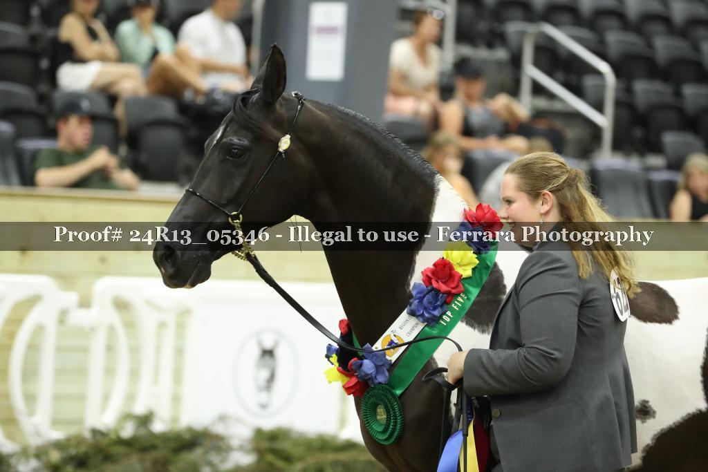 Proof Number 24R13_05346