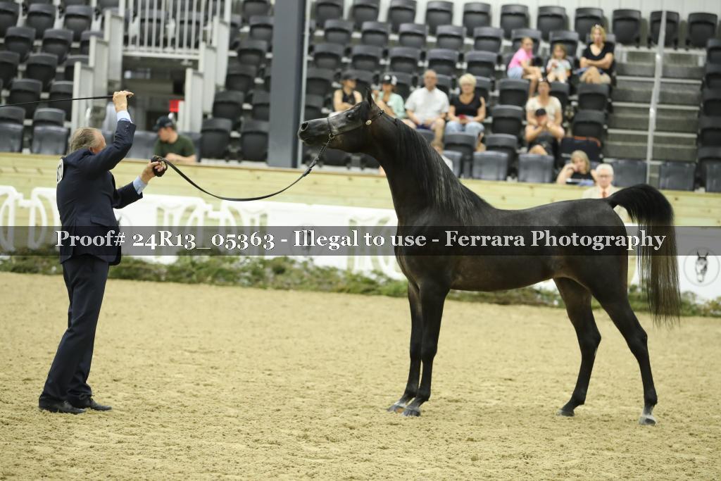 Proof Number 24R13_05363