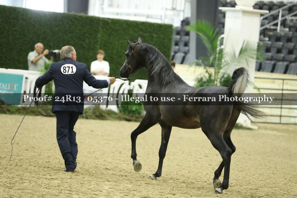 Proof Number 24R13_05376