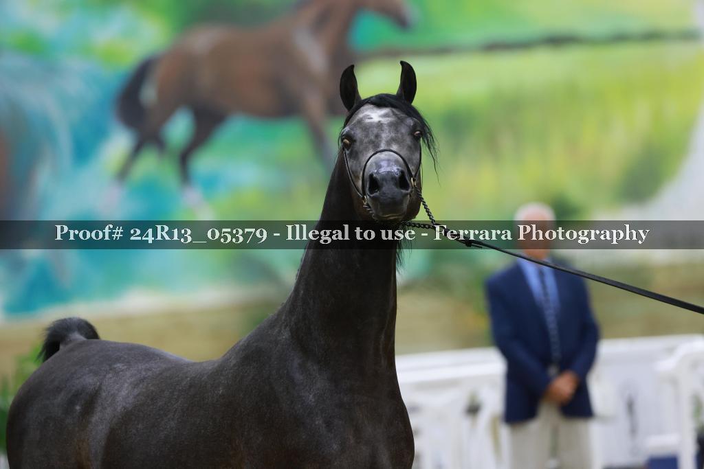 Proof Number 24R13_05379