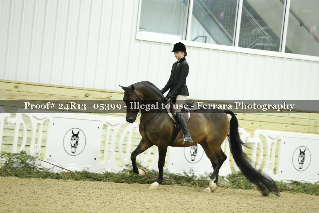 Proof Number 24R13_05399