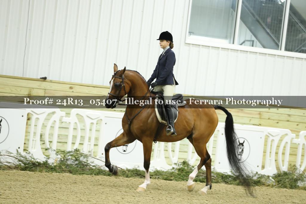 Proof Number 24R13_05407