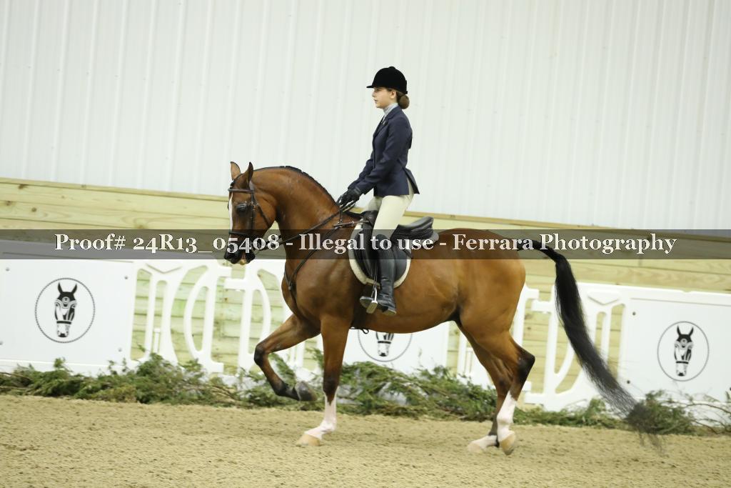 Proof Number 24R13_05408