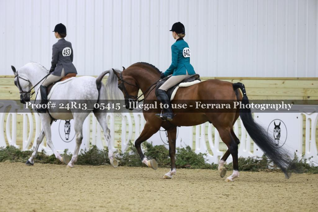 Proof Number 24R13_05415