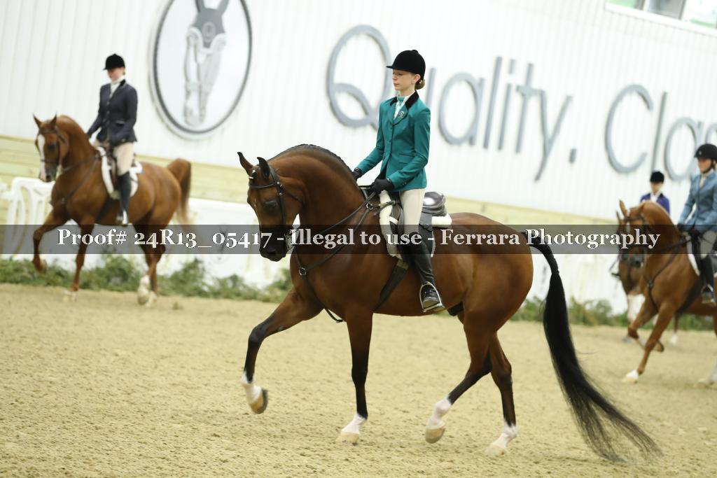 Proof Number 24R13_05417
