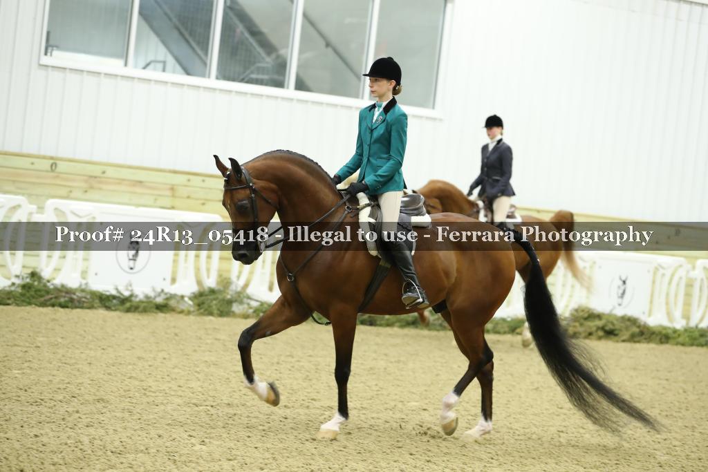 Proof Number 24R13_05418