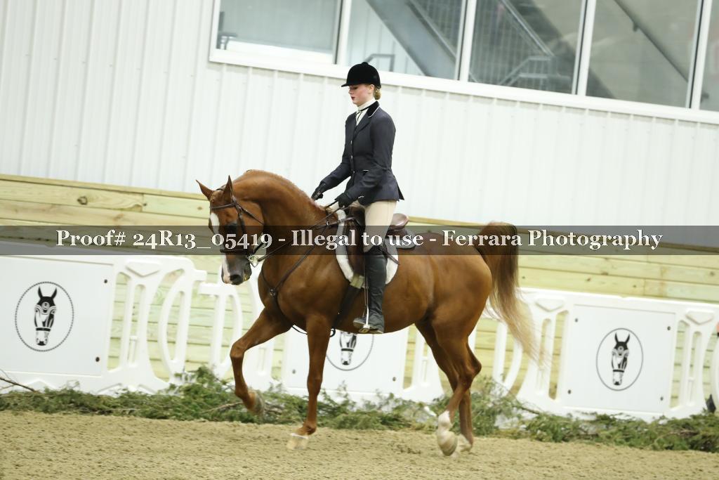 Proof Number 24R13_05419