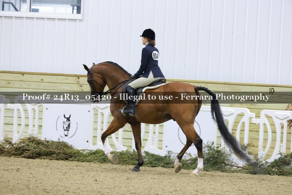 Proof Number 24R13_05420