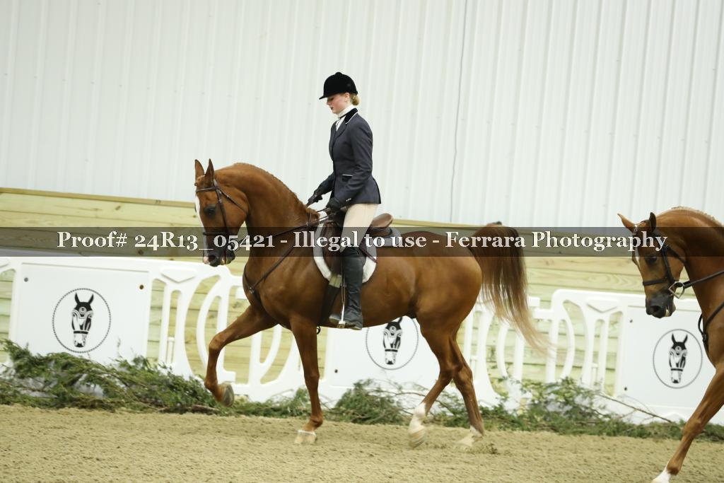 Proof Number 24R13_05421