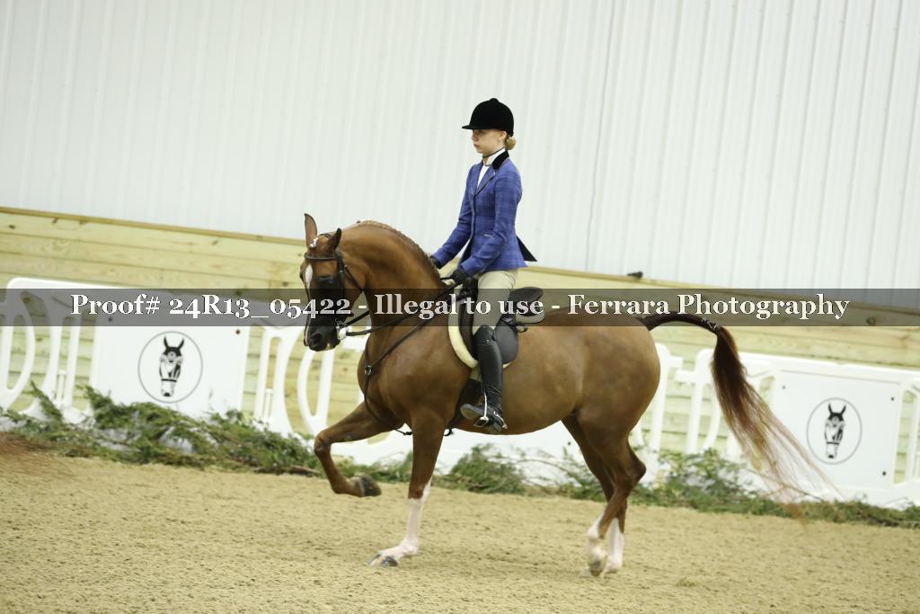Proof Number 24R13_05422