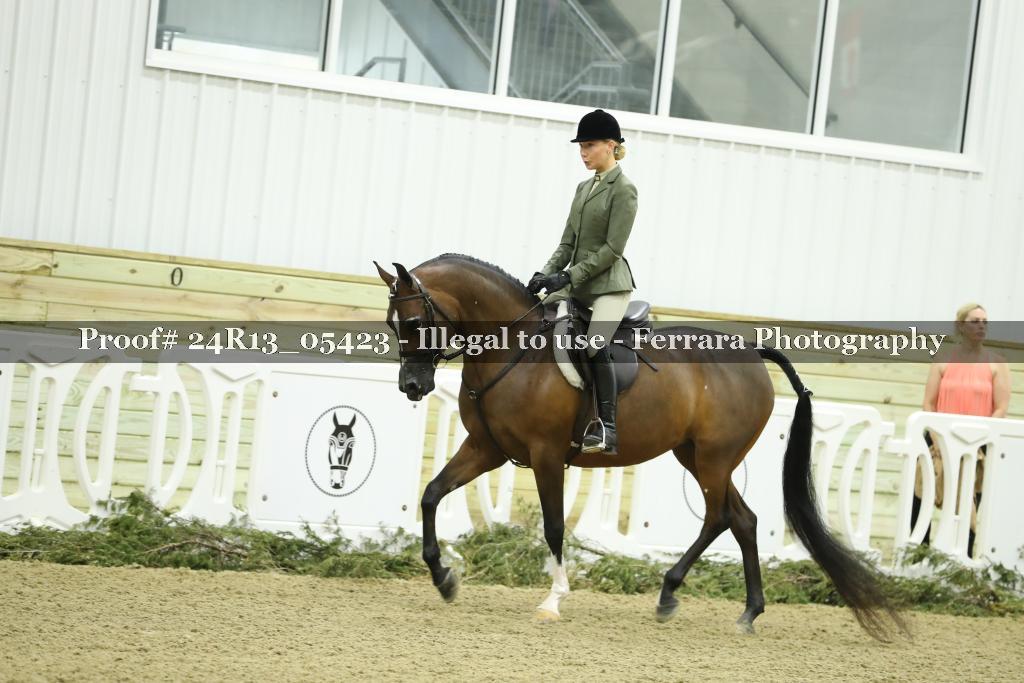Proof Number 24R13_05423