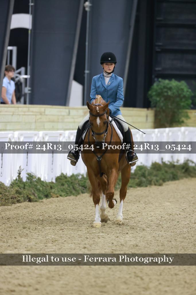 Proof Number 24R13_05424