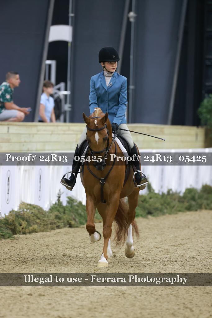 Proof Number 24R13_05425