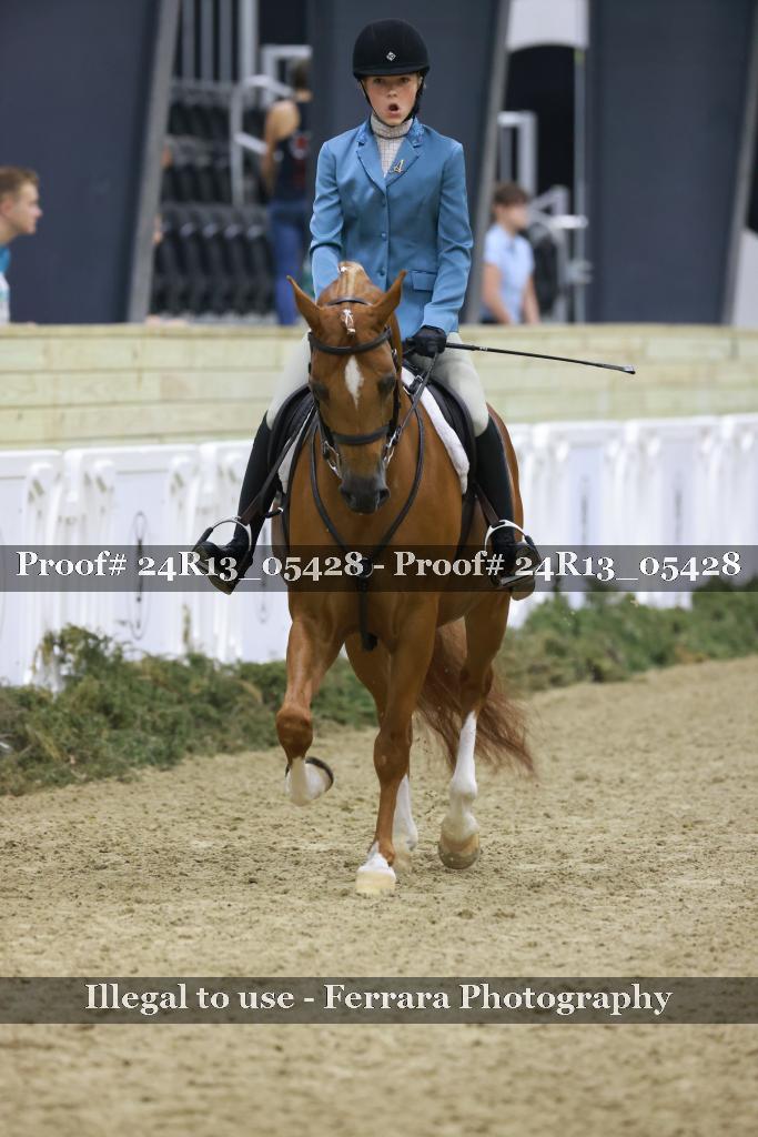 Proof Number 24R13_05428