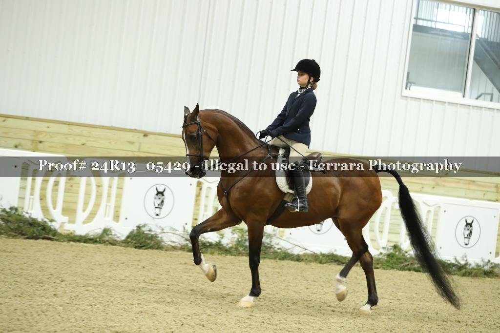 Proof Number 24R13_05429