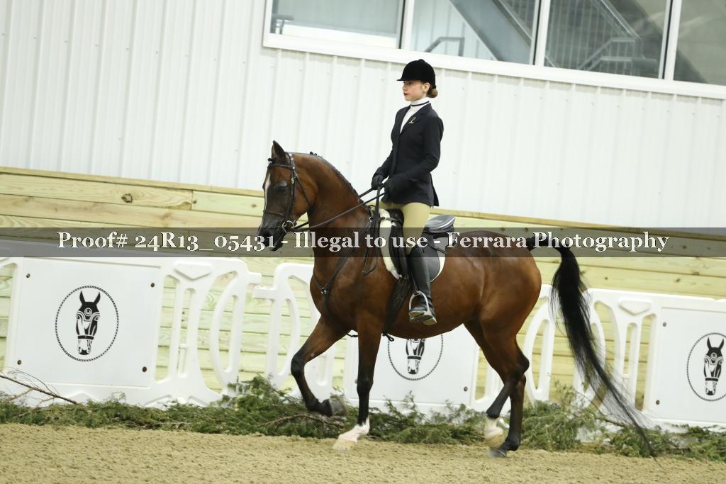 Proof Number 24R13_05431