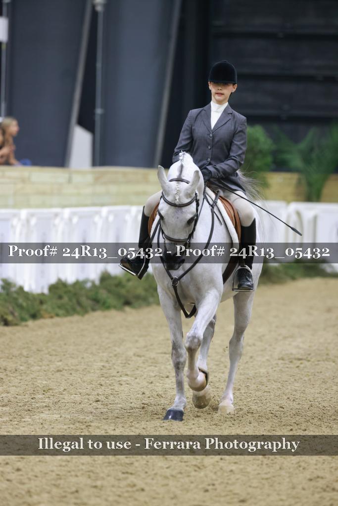Proof Number 24R13_05432
