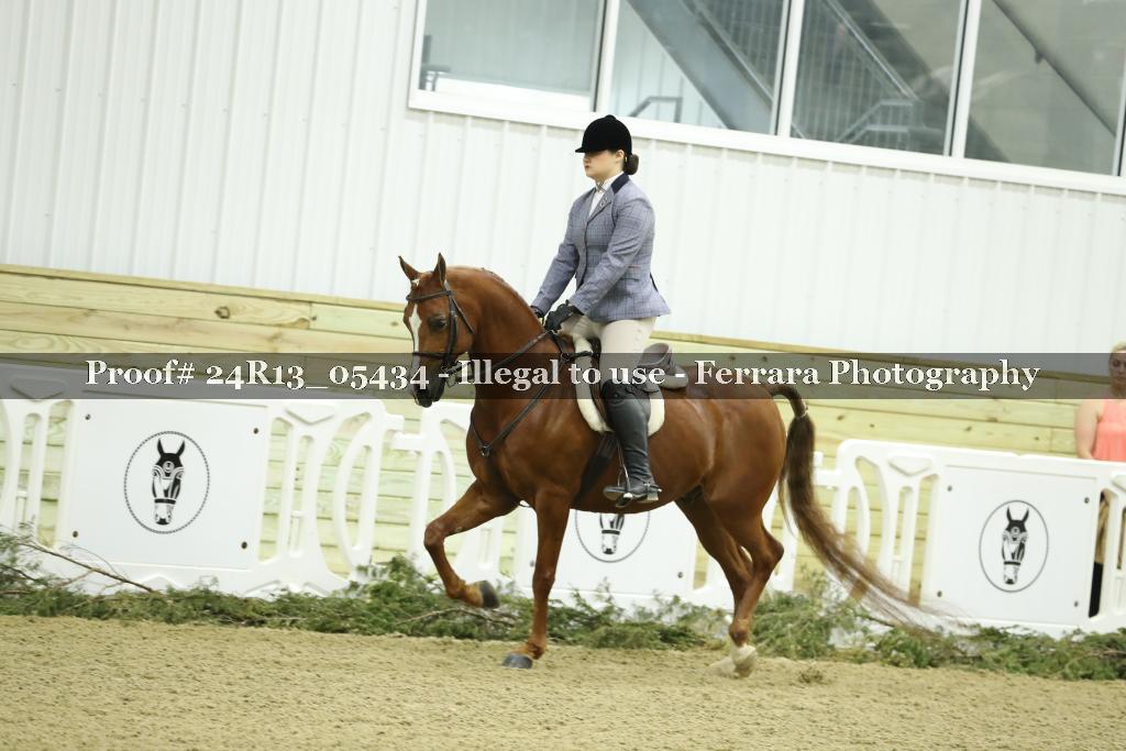 Proof Number 24R13_05434