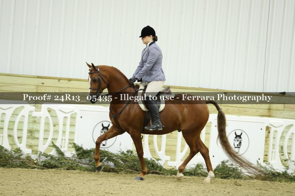 Proof Number 24R13_05435