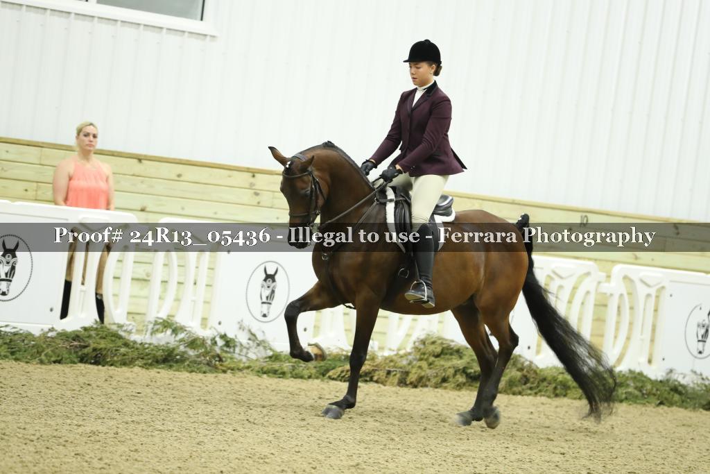 Proof Number 24R13_05436