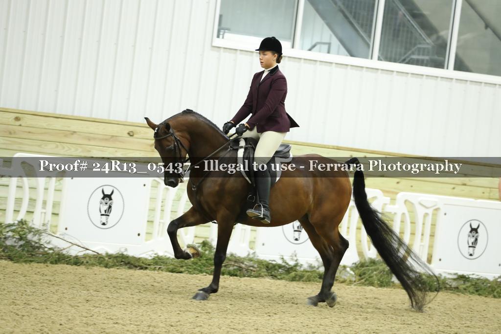 Proof Number 24R13_05437