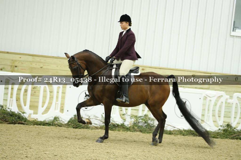 Proof Number 24R13_05438