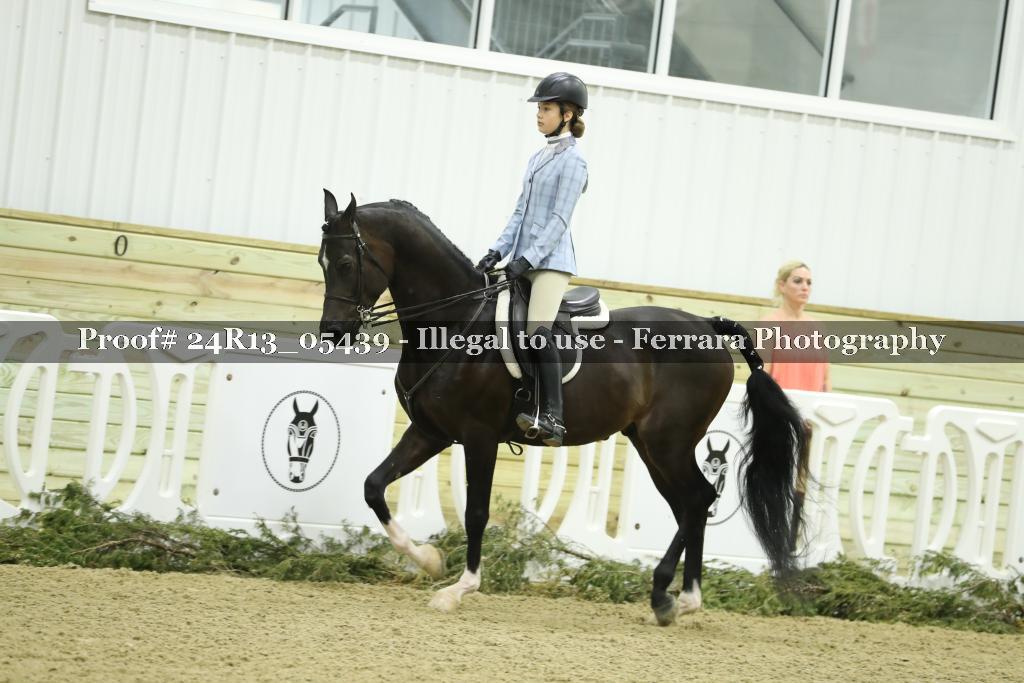 Proof Number 24R13_05439