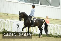 24R13_05439 thumbnail