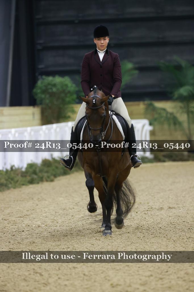 Proof Number 24R13_05440