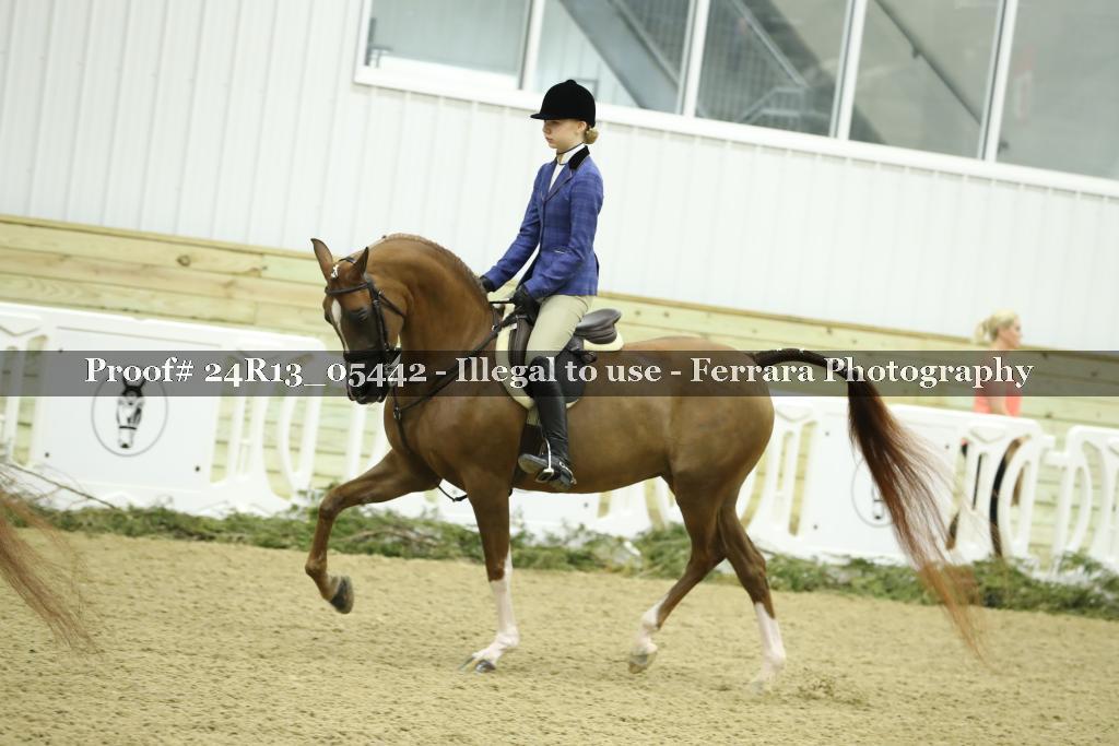 Proof Number 24R13_05442