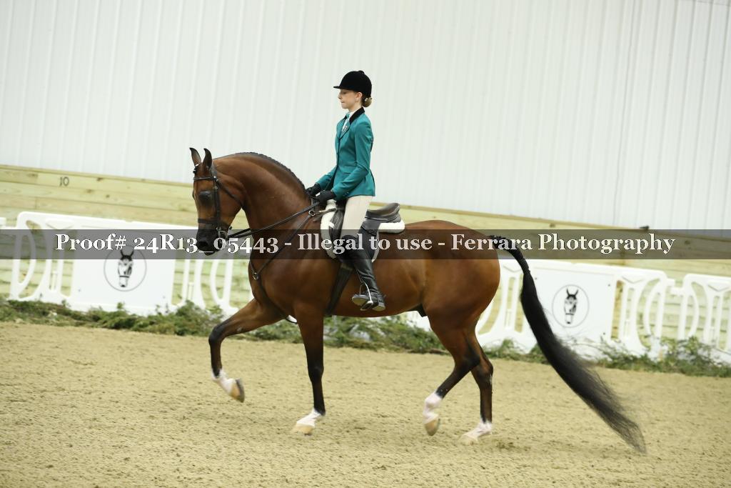 Proof Number 24R13_05443