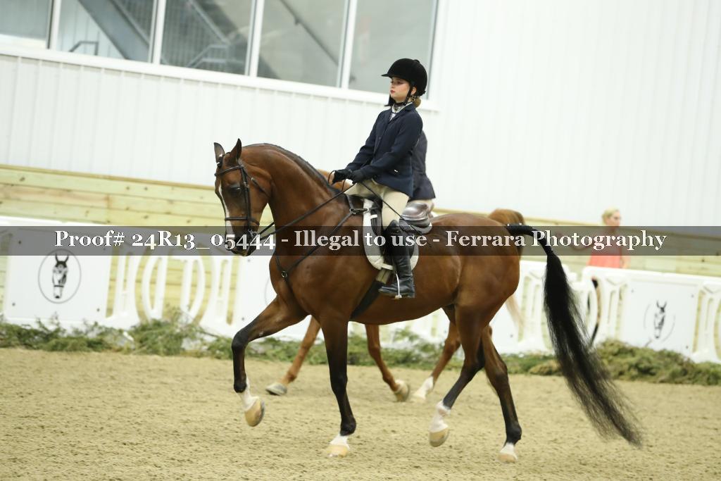 Proof Number 24R13_05444